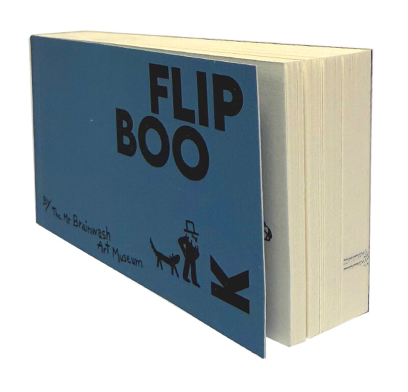 Flipbook - Blue