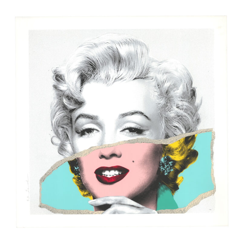 Monroe POPfolio - Torn Photo